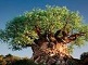 شجرة الحياة» تضمّ 2.3 مليون كائن حيّ